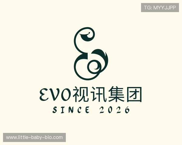 解读evo视讯集团
